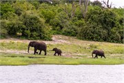 039-ToChobe-Cruise
