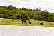 040-ToChobe-Cruise