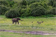 046-ToChobe-Cruise