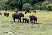 050-ToChobe-Cruise