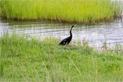 079-ToChobe-Cruise