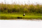 092-ToChobe-Cruise