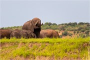 094-ToChobe-Cruise