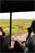 018-Chobe_1stDrive