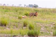 038-Chobe_1stDrive