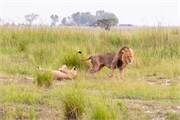 039-Chobe_1stDrive