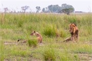 040-Chobe_1stDrive