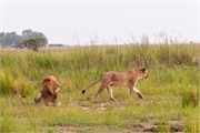 043-Chobe_1stDrive