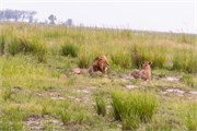 046-Chobe_1stDrive