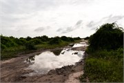 058-Chobe_1stDrive