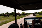 059-Chobe_1stDrive