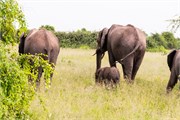 061-Chobe_1stDrive