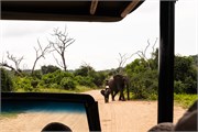 068-Chobe_1stDrive