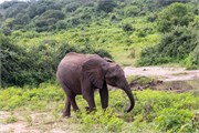 072-Chobe_1stDrive