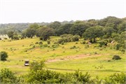 075-Chobe_1stDrive