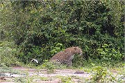002-Chobe2ndDrive