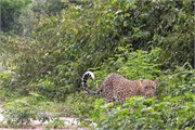 009-Chobe2ndDrive