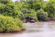 012-Chobe2ndDrive