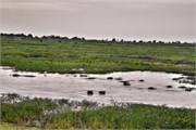 016-Chobe2ndDrive
