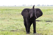 023-Chobe2ndDrive