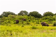 030-Chobe2ndDrive