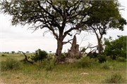 003-Okavango-1stDrive