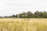 010-Okavango-1stDrive
