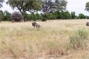 012-Okavango-1stDrive