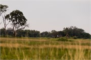 022-Okavango-1stDrive