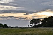 025-Okavango-1stDrive