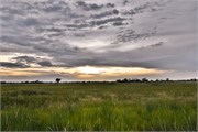 026-Okavango-1stDrive