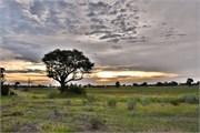 027-Okavango-1stDrive