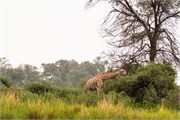 049-To-OkavangoDelta