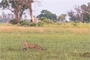 003-Okavango-2ndDrive