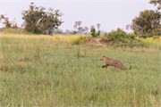 005-Okavango-2ndDrive
