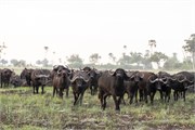010-Okavango-2ndDrive