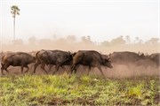013-Okavango-2ndDrive