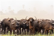 014-Okavango-2ndDrive