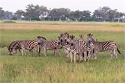016-Okavango-2ndDrive