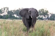 017-Okavango-2ndDrive