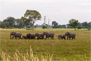 025-Okavango-2ndDrive