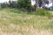 028-Okavango-2ndDrive