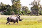 038-Okavango-2ndDrive