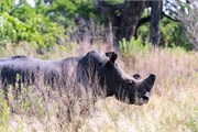 041-Okavango-2ndDrive
