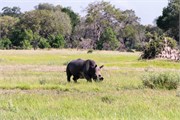 042-Okavango-2ndDrive