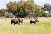043-Okavango-2ndDrive