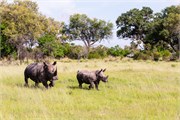 044-Okavango-2ndDrive