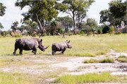 045-Okavango-2ndDrive