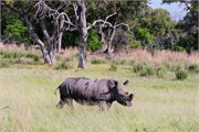 046-Okavango-2ndDrive
