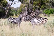 048-Okavango-2ndDrive